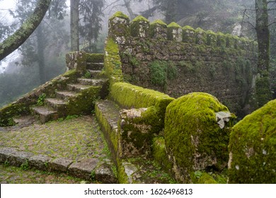 Moss covered old steps and stairs of the Moorish Castle (Castle of Moors) on a foggy, misty day in Sintra Portugal