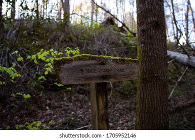 Moss Covered Rice Camp Trail Sign