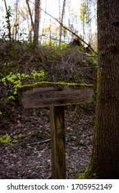 Moss Covered Rice Camp Trail Sign