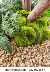 Moss covered tree base surrounded by decorative river stones in landscaped garden