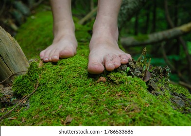 Moss Feet Barefoot Female Feet Green Stock Photo 1786533680 | Shutterstock