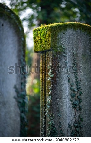 Moss and ivy covered old stone grave.