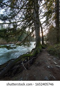 Moss Lewisville Park Is A 154-acre Regional Park Located On The East Fork Lewis River, Two Miles North Of The Battle Ground In Clark County, Washington.