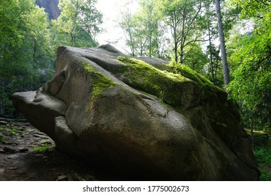     Moss on the rock. Stolby national park in Krasnoyarsk. A forest and a large stone with moss at the foot of the mountain. Siberian nature landscape.                           