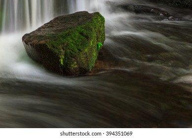 Moss on rocks in the waterfall.