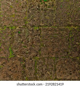 Moss overgrown brick wall texture