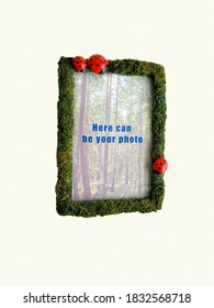 Moss Photo Frame With A Family Of Ladybugs. Inscription - Your Photo Can Be Here.