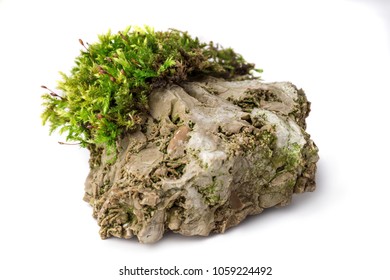 Moss And Rock On White Background Isolated