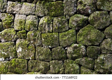 Moss Rock Wall In Japan
