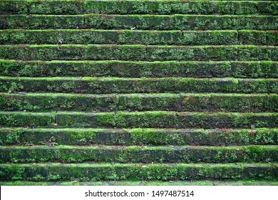 Moss Stone Brick Wall, Eco-friendly Structure In Old Asian Temple