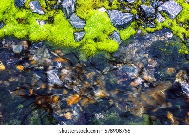 A moss and the stream in mountain area