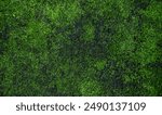 Moss texture background, Closeup image of nature moss, green moss after rain