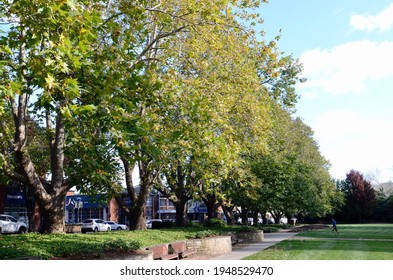 Moss Vale, NSW, Australia. April 2021. A Park In Moss Vale, Australia.