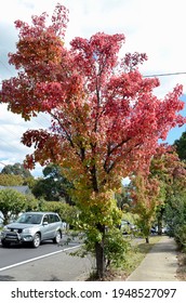 Moss Vales NSW, Australia. April 2021. Autumn Leaves In The Town Of Moss Vale, Australia
