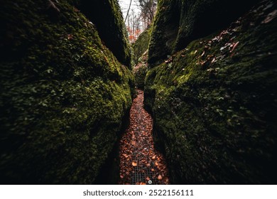 Moss-Covered Canyon Passage in Autumn – A Serene Forest Adventure - Powered by Shutterstock