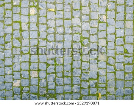 Moss-covered cobblestone pavement texture background