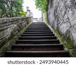 Moss-covered stone steps leading upward in a tropical setting