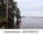 Moss-draped trees frame a calm river, leading to a distant stilted structure over the water, with an overcast sky creating a serene and natural riverscape.