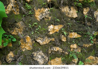 Moss-grown ancient stonewall. Horizontal close-up shot - Powered by Shutterstock