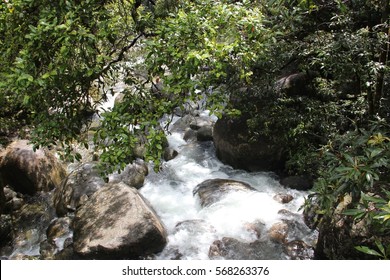 Mossman Gorge