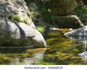 Mossman River, Mossman, Far North Queensland