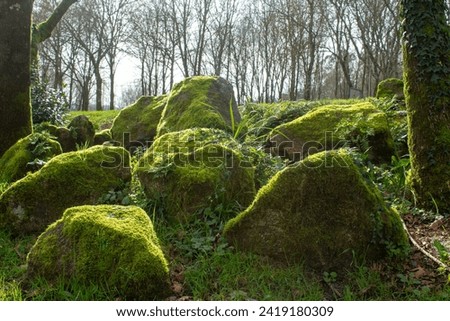 Mossy boulders in the park with green grass in the foreground