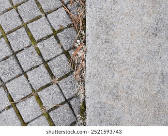 Mossy Cobblestone and Concrete Pathway Texture - Powered by Shutterstock