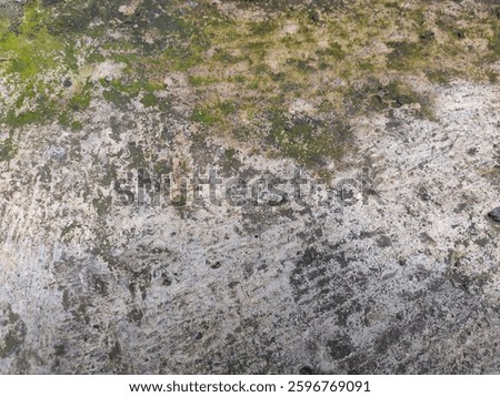 mossy concrete texture material pattern design wallpaper cement constuction