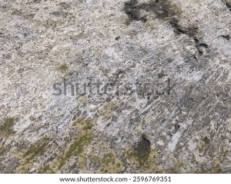 mossy concrete texture material pattern design wallpaper cement constuction
