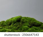 Mossy covered wood table grey wall background. moss meadow eco green plant platform mockup for display of product. eco friendly Studio Background Design concept