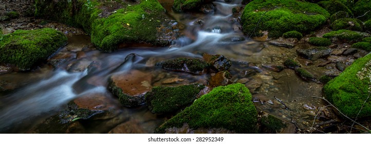 Mossy Creek Bed, Southwest Virginia