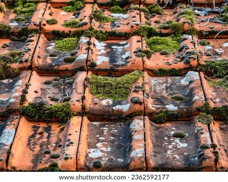 Mossy and dirty tile roof of old hut