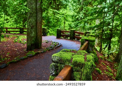 Mossy Forest Pathway McKenzie River Oregon Eye-Level Perspective - Powered by Shutterstock