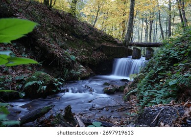 Mossy forest stream flows over small dam