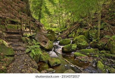 Mossy forest stream. Mossy rocks in forest stream. A forest stream in a mossy forest. Forest stream flowing - Powered by Shutterstock