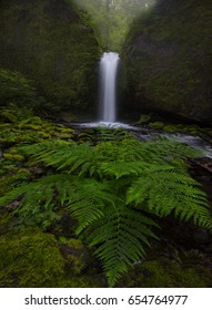 Mossy Grotto Falls