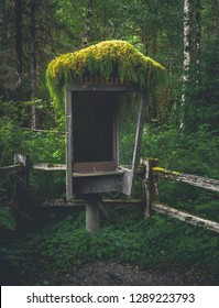 The mossy and now decommissioned phone booth that stands at the entrance to the Hoh Rainforest in Olympic National Park on the Olympic Peninsula of western Washington state, United States.