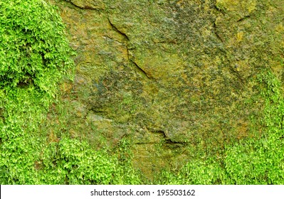 Mossy Rock Texture With Hole, Nature Background.