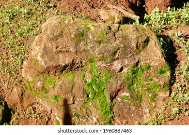 A Mossy Rock Texture On A Sunny Day