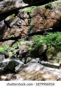 Mossy Rock Wall Beside A River