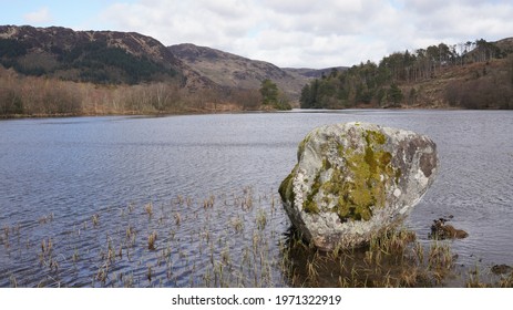 A Mossy Rock In Water, Loch Trool