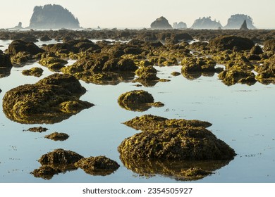 Mossy rocks, serene reflection, no people, low angle view. Olympic Peninsula Washington State Pacific Northwest - Shutterstock ID 2354505927