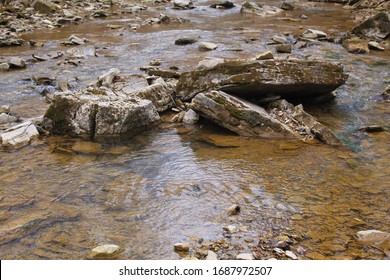 Mossy Rocks In The Stream Northern Kentucky