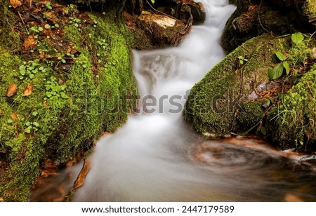 Mossy rocks stream. A stream on mossy rocks. Cold creek on mossy rocks. Mossy rocks in water