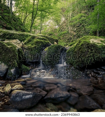 Mossy rocky stream with water cascade waterfall in a lush green summer forest in Transylvania, Romania, Sighistelului valley gorge