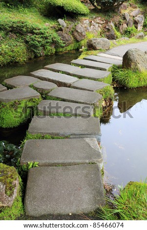 Mossy stepping stones in water