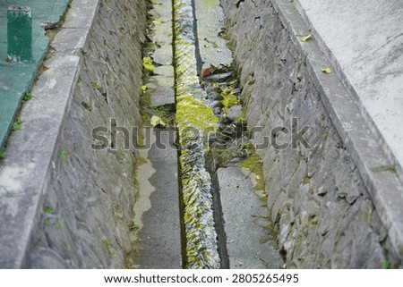 Mossy stone drain system with clean water flowing in an urban environment.