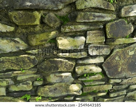mossy stone wall background, stone wall texture