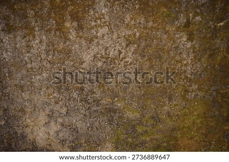 Mossy Stone Wall Texture Background