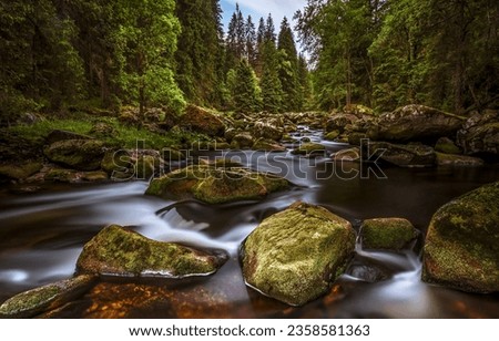 Mossy stones in a forest river. Cold creek in forest. Forest strem flow. Forest stream landscape